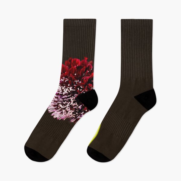 Item preview, Black Knight Scabiosa designed and sold by jillianbutolphphoto.