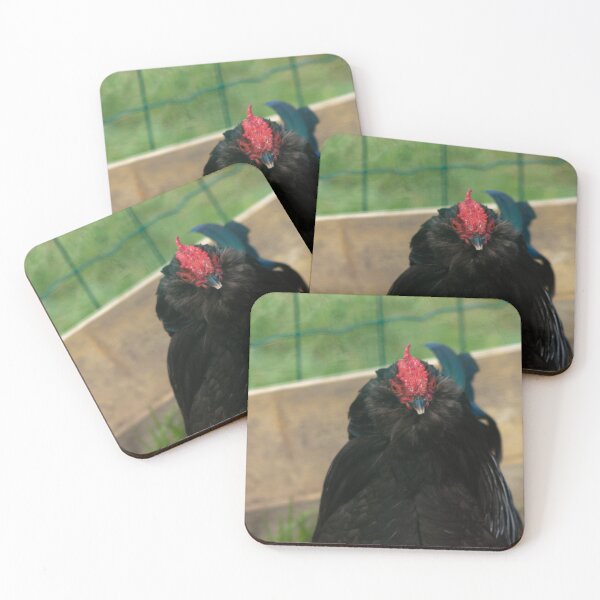 Item preview, black chicken designed and sold by Francespoppy.