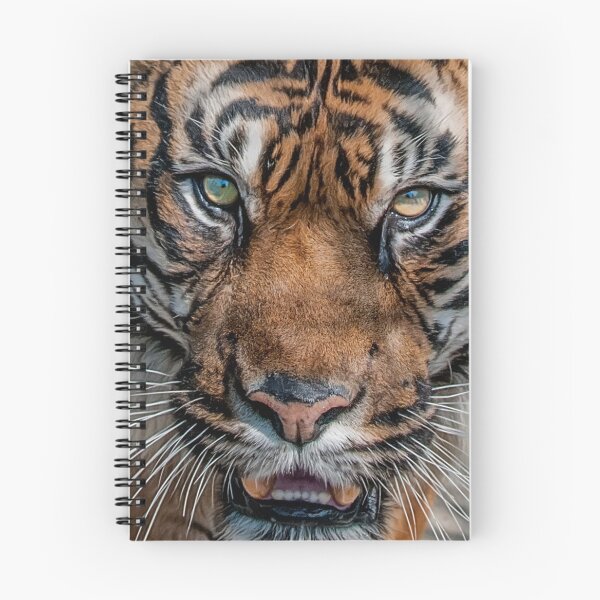 Item preview, Tiger's Eyes designed and sold by Brian Tarr.