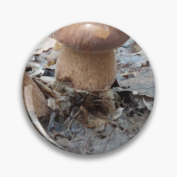 Item preview, Fungus, Boletus, Hrib, ECO, Forest designed and sold by marcelcluj.