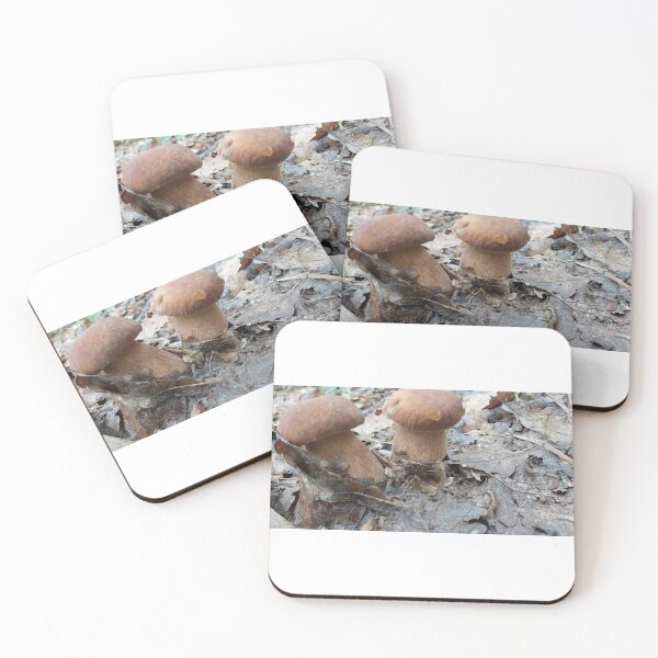 Item preview, Fungus, Boletus, Hrib, ECO, Forest designed and sold by marcelcluj.