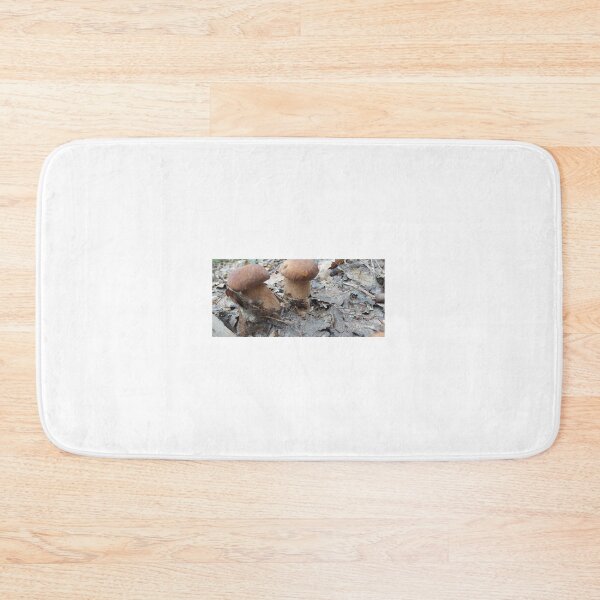 Item preview, Fungus, Boletus, Hrib, ECO, Forest designed and sold by marcelcluj.