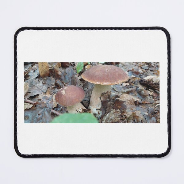 Item preview, Fungus, Boletus, Hrib, ECO, Forest designed and sold by marcelcluj.