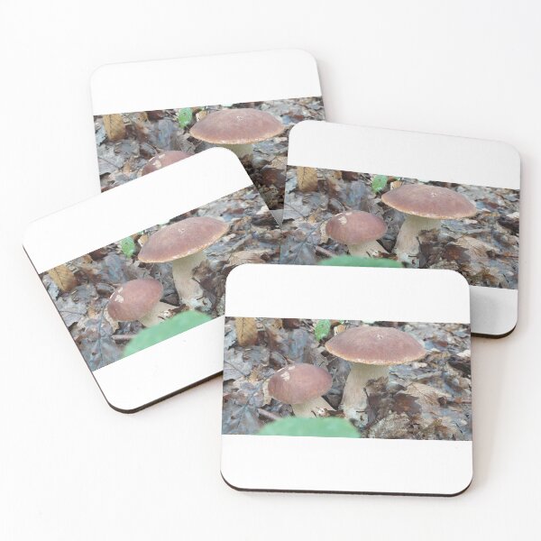 Item preview, Fungus, Boletus, Hrib, ECO, Forest designed and sold by marcelcluj.