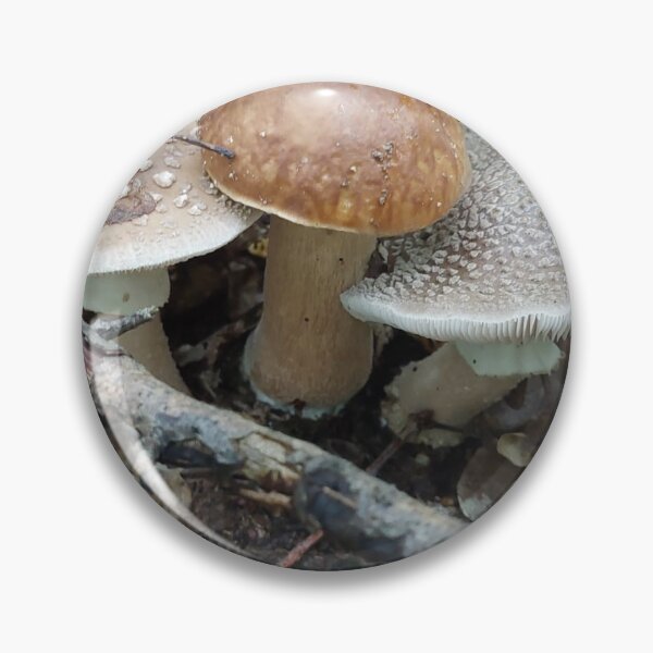 Item preview, Fungus, Boletus, Hrib, ECO, Forest designed and sold by marcelcluj.