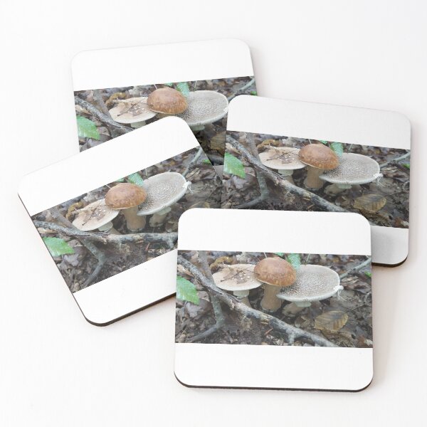 Item preview, Fungus, Boletus, Hrib, ECO, Forest designed and sold by marcelcluj.