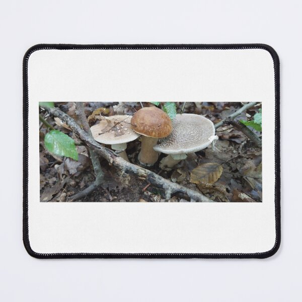Item preview, Fungus, Boletus, Hrib, ECO, Forest designed and sold by marcelcluj.