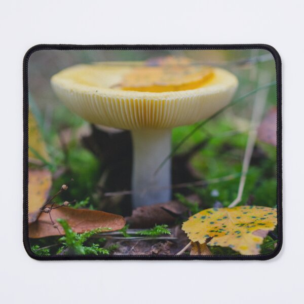 Item preview, Yellow Mushroom with Autumn Leaves and Green Moss designed and sold by Andulka.