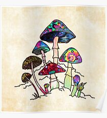 Garten von Shroomz Poster