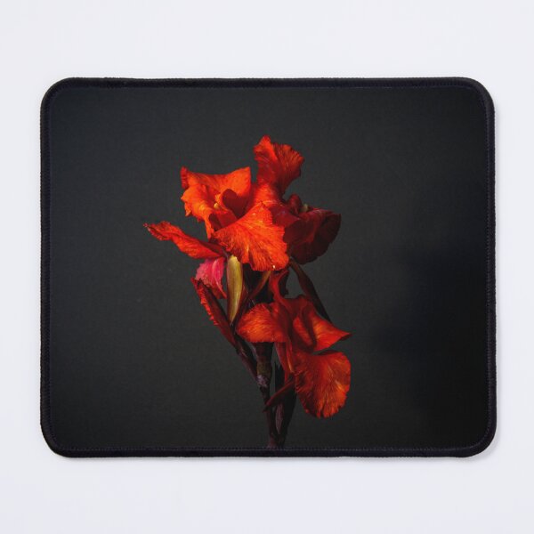 Item preview, Red Canna Lilies Still Life designed and sold by jillianbutolphphoto.