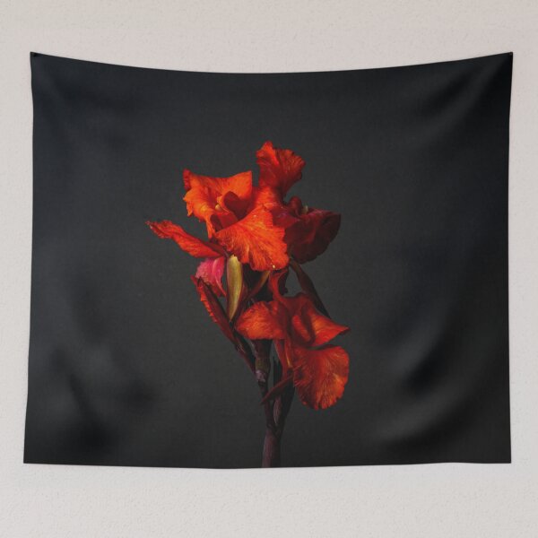 Item preview, Red Canna Lilies Still Life designed and sold by jillianbutolphphoto.