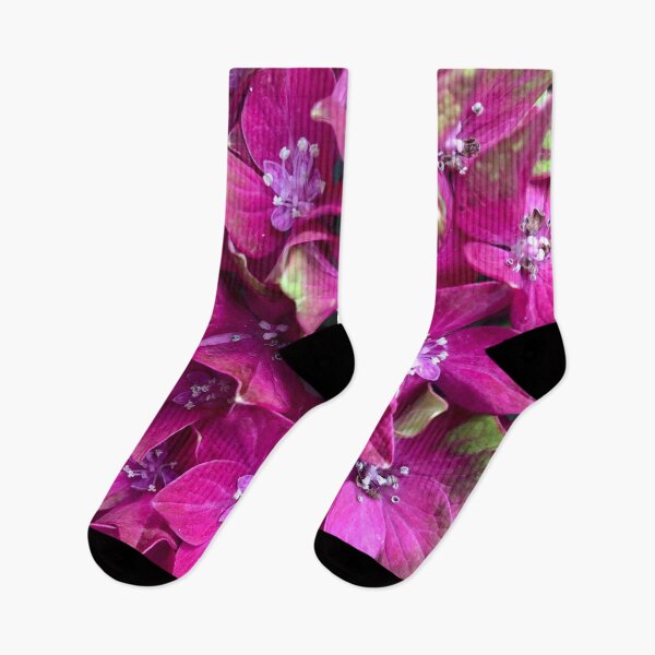 Item preview, Wild Magenta Hydrangea designed and sold by Photomersion.