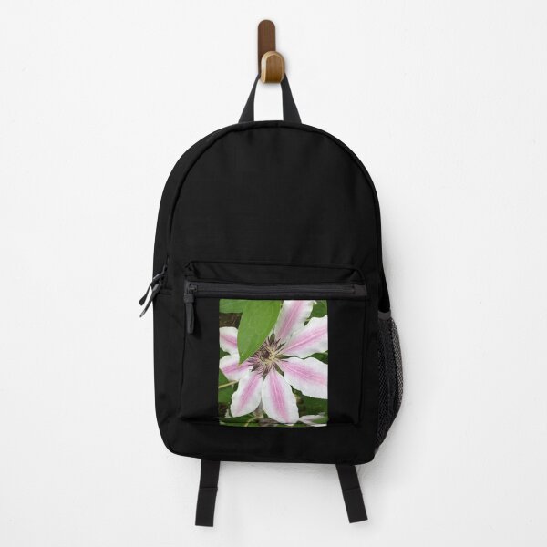 Item preview, Shy Pink Clematis designed and sold by Photomersion.