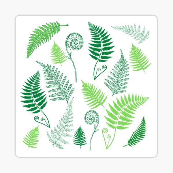 Item preview, New Zealand NZ Kiwi Green Ferns Plants designed and sold by Down Downunder.
