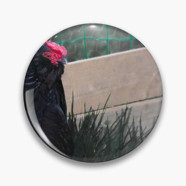 Item preview, black chicken designed and sold by Francespoppy.