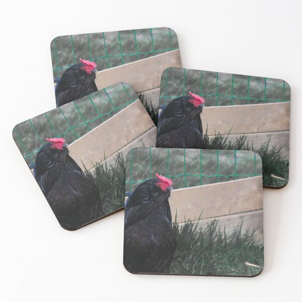 Item preview, black chicken designed and sold by Francespoppy.