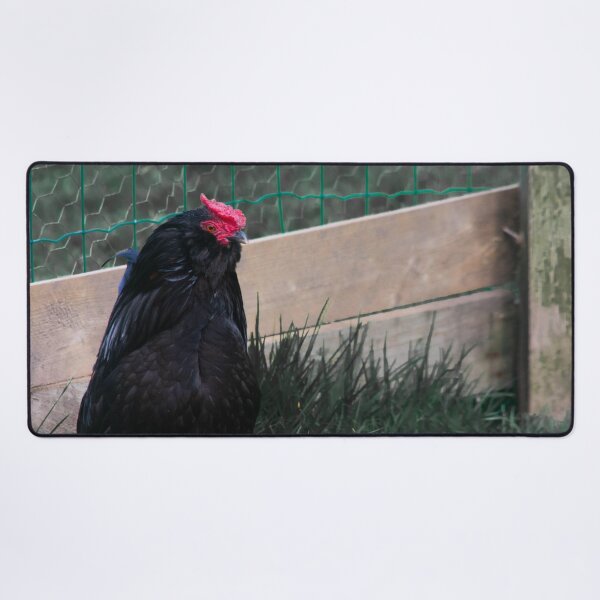 Item preview, black chicken designed and sold by Francespoppy.