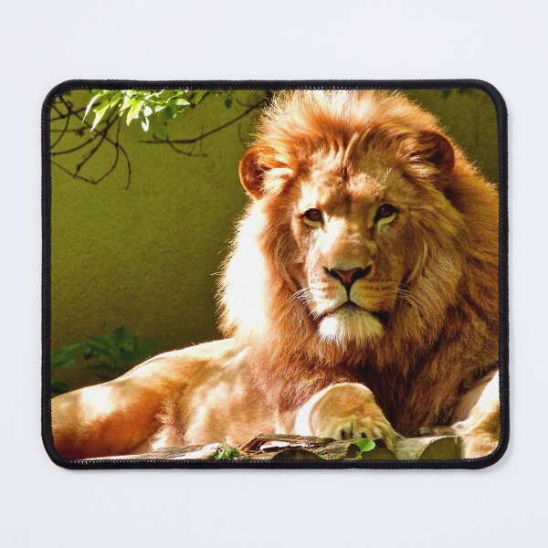 Item preview, ANIMALS #73 - Stately Male Lion In Repose designed and sold by DEL-Productions.