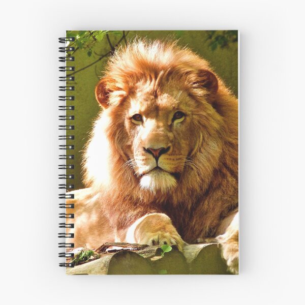Item preview, ANIMALS #73 - Stately Male Lion In Repose designed and sold by DEL-Productions.