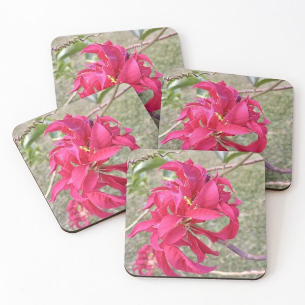 Item preview, Christmas flower designed and sold by MusondaNancy.