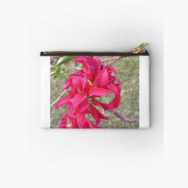 Item preview, Christmas flower designed and sold by MusondaNancy.