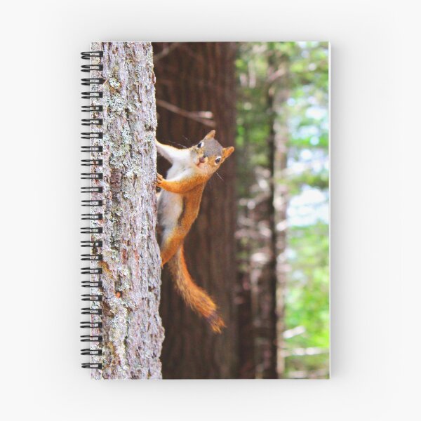 Item preview, ANIMALS #76 - Curious Squirrel Hanging from Tree designed and sold by DEL-Productions.