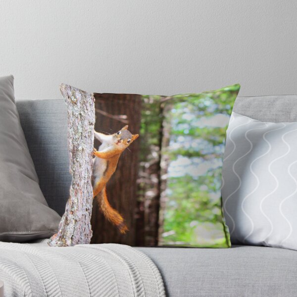 Item preview, ANIMALS #76 - Curious Squirrel Hanging from Tree designed and sold by DEL-Productions.