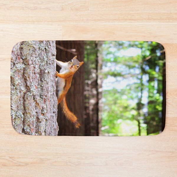 Item preview, ANIMALS #76 - Curious Squirrel Hanging from Tree designed and sold by DEL-Productions.