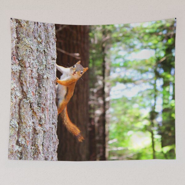 Item preview, ANIMALS #76 - Curious Squirrel Hanging from Tree designed and sold by DEL-Productions.