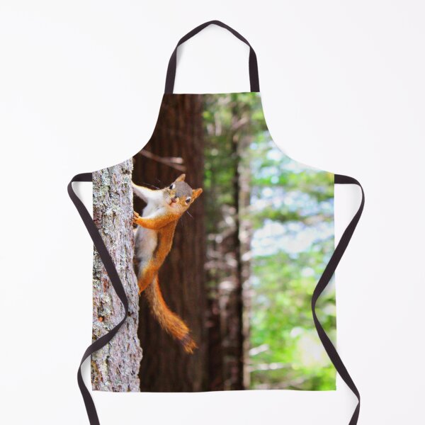 Item preview, ANIMALS #76 - Curious Squirrel Hanging from Tree designed and sold by DEL-Productions.