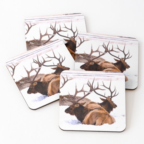 Item preview, ANIMALS #77 - Male Elk in Snow - Magnificent Antlers designed and sold by DEL-Productions.