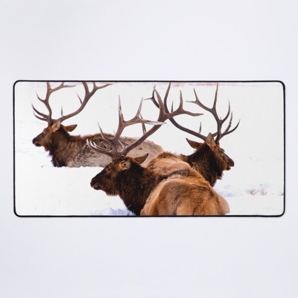 Item preview, ANIMALS #77 - Male Elk in Snow - Magnificent Antlers designed and sold by DEL-Productions.