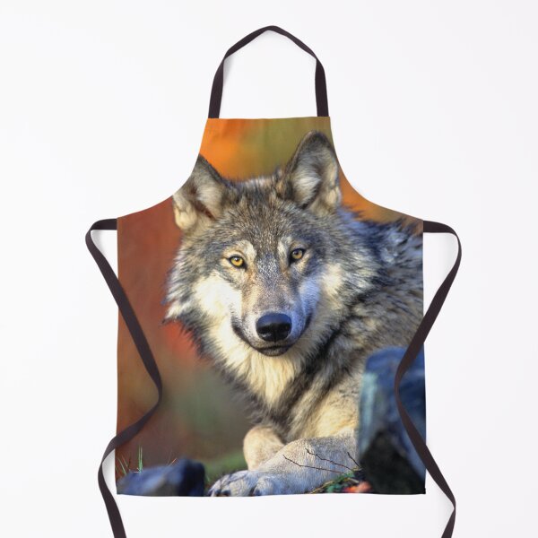 Item preview, ANIMALS #79 - Grey Wolf has Eyes on You designed and sold by DEL-Productions.