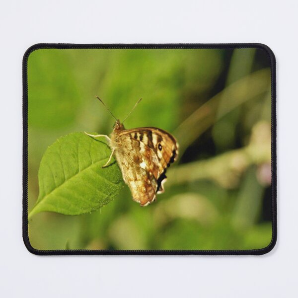 Item preview, brown butterfly designed and sold by Francespoppy.