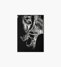 Untitled Art Board