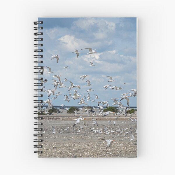 Item preview, Flock of Royal Terns Take Flight designed and sold by ShorelineImages.
