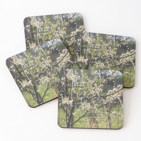 Item preview, floral background designed and sold by Francespoppy.