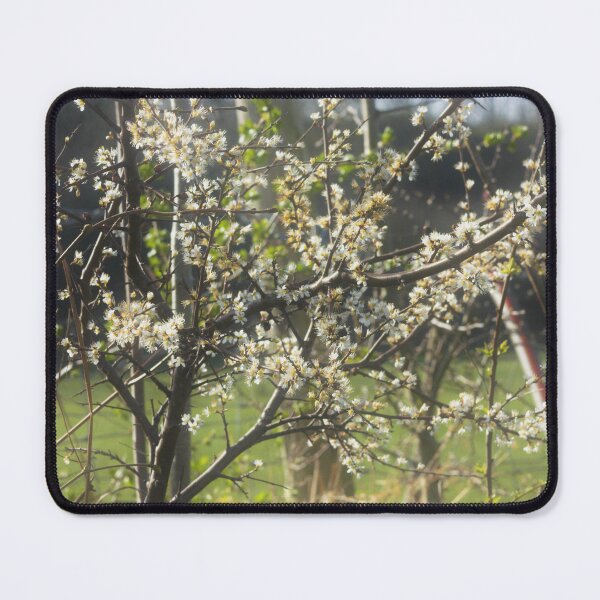 Item preview, floral background designed and sold by Francespoppy.