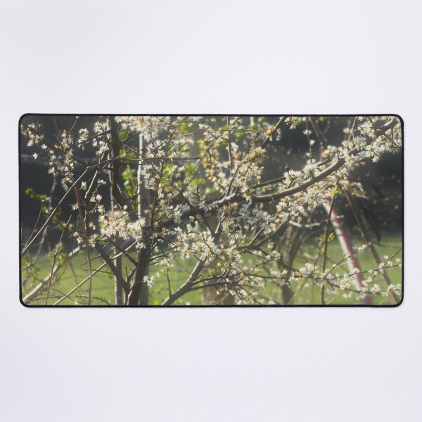 Item preview, floral background designed and sold by Francespoppy.