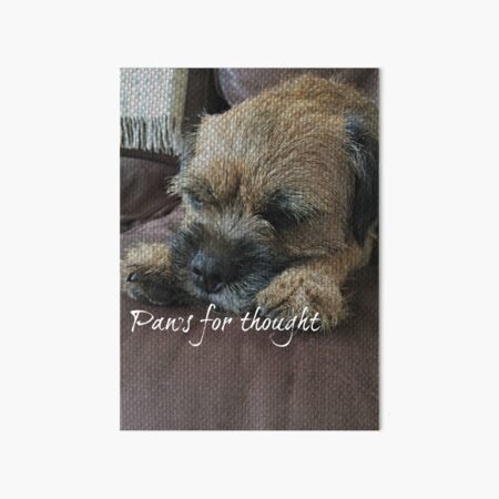 Border Terrier Gifts for Dog Lovers Paws for Thought Art Board Print