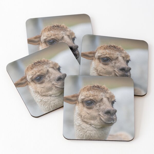 Item preview, Al Paca designed and sold by Tasmanian Viking.