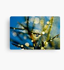 miniature worlds Canvas Print