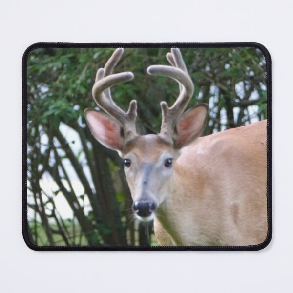 Item preview, Only one buck! designed and sold by Eric's Digital Artistry.