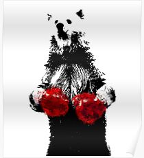 BEAR BOXE Poster