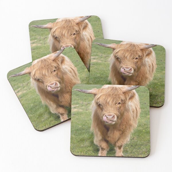 Item preview, Young Highland Cow designed and sold by Tasmanian Viking.