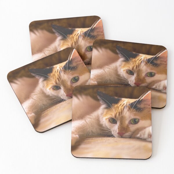 Item preview, cat designed and sold by ricobarinas.