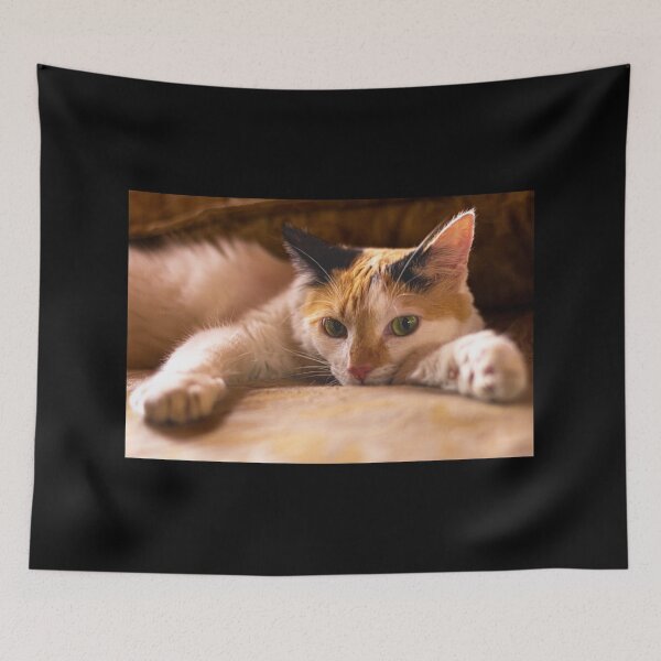Item preview, cat designed and sold by ricobarinas.