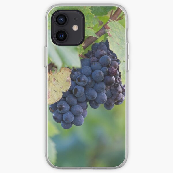 grape and vineyard iPhone Soft Case