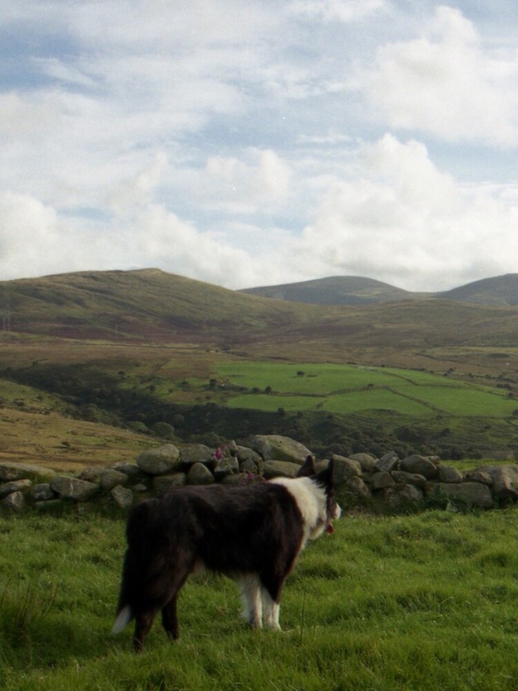"The beauty of Llanfairfechan" iPhone Case for Sale by mhhaslam Redbubble
