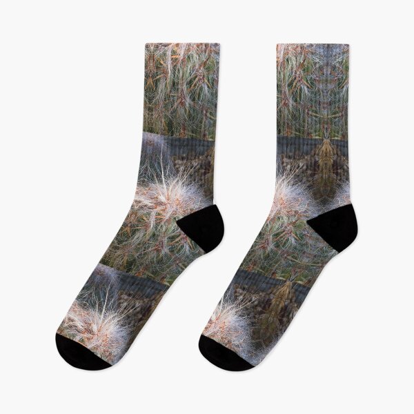 Item preview, Wild Succulent Beards designed and sold by RoseAromas.